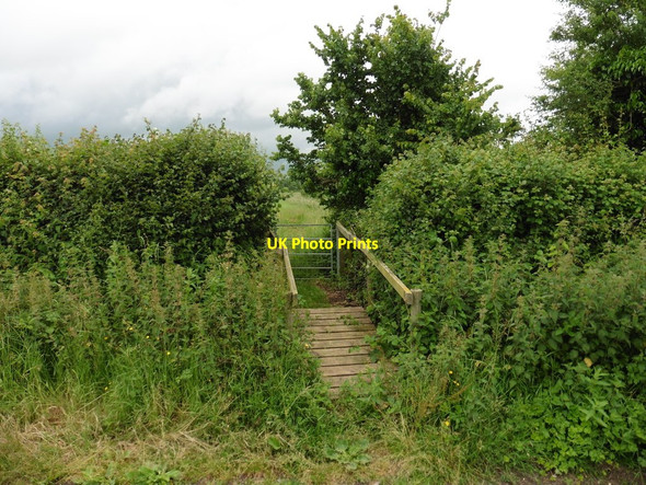 Photo 6"x4" Footbridge near Clay Lane Puckington c2016