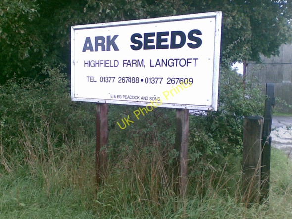 Photo 6"x4" Ark Seeds Butterwick\/SE9971 c2008