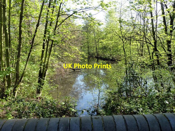 Photo 6"x4" Pond, Wanstead Park Wanstead c2011