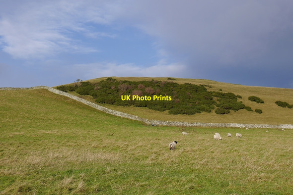 Photo 6"x4" Hill pasture, Wester Essenside Wester Essenside c2015