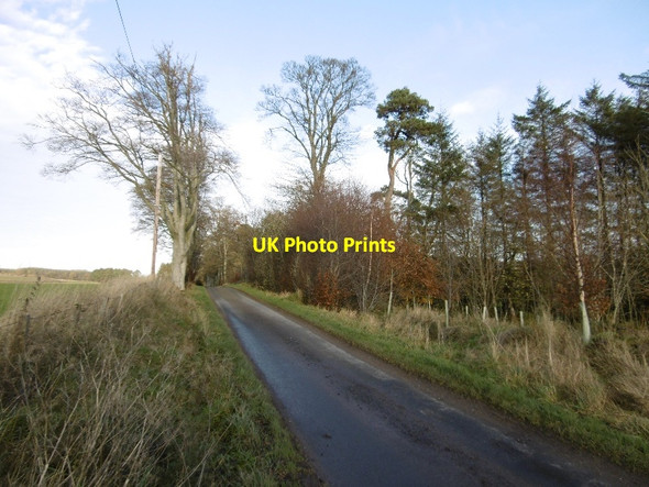 Photo 6"x4" Road by Hallrule Bonchester Bridge c2015
