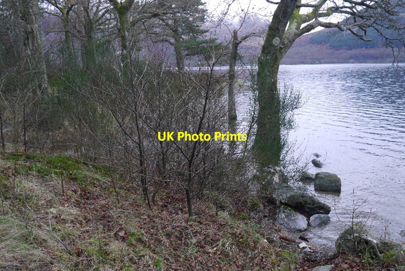 Photo 6"x4" Shore, Loch Lomond Inverbeg c2015