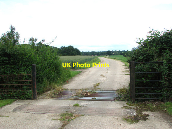 Photo 6"x4" Access road to Rackheath Hall Rackheath c2016
