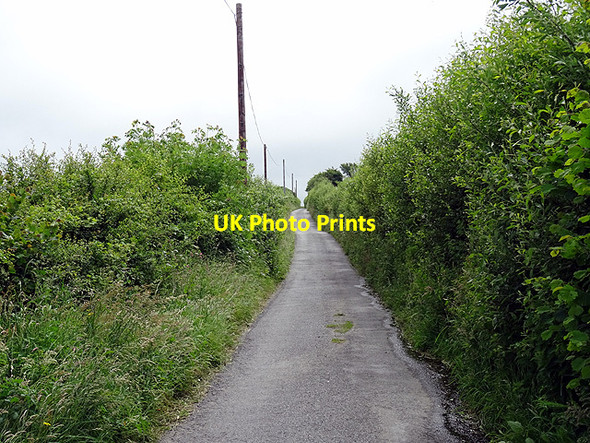 Photo 6"x4" A minor road climbs away from Gilfach-yr-Halen Aberaeron c2016