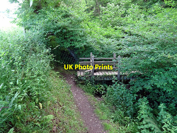 Photo 6"x4" A footbridge over a minor waterway Aberaeron c2016