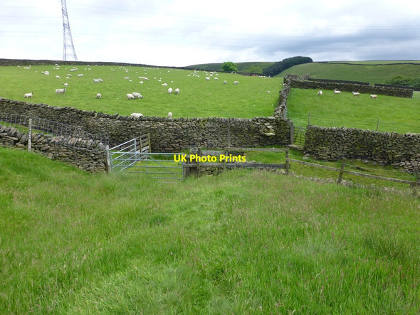 Photo 6"x4" A medley of gates and stiles at Arnfield Tintwistle c2016