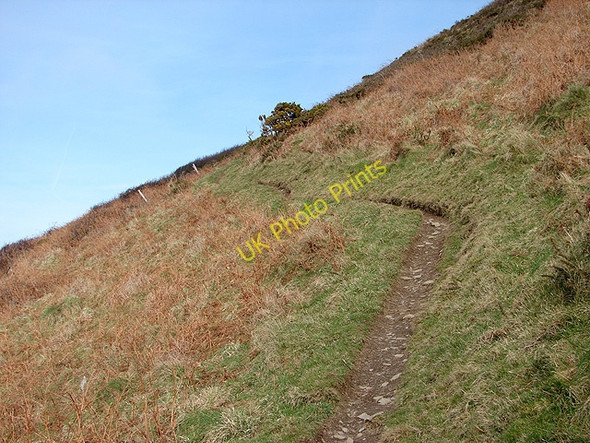 Photo 6"x4" The Ceredigion Coastal Path climbs Moelcerni Upper Borth c2009