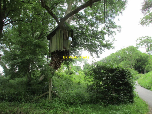 Photo 6"x4" Treehouse by the lane to Little Golders Chilcomb c2016