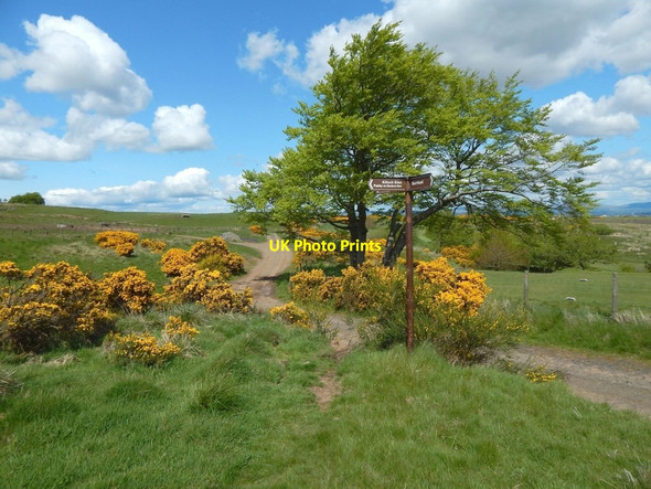Photo 6"x4" Signpost beside path junction Barrhead c2016
