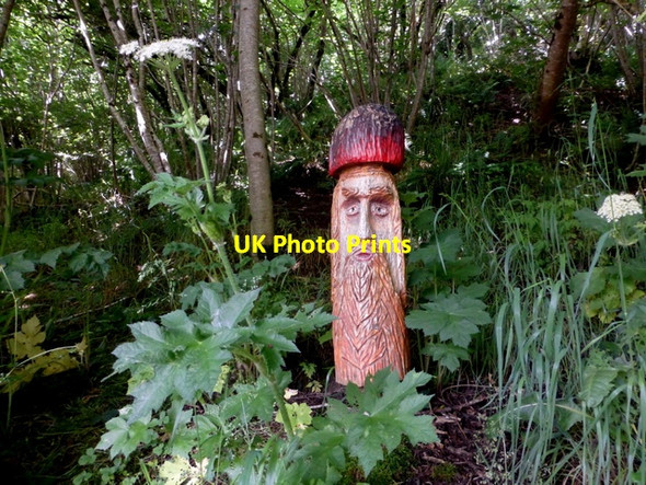 Photo 6"x4" Carved face, Drudgeon Omagh c2016