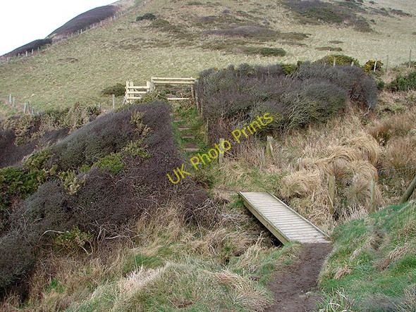 Photo 6"x4" Footbridge and gate on the Ceredigion Coastal Path Upper Borth c2009
