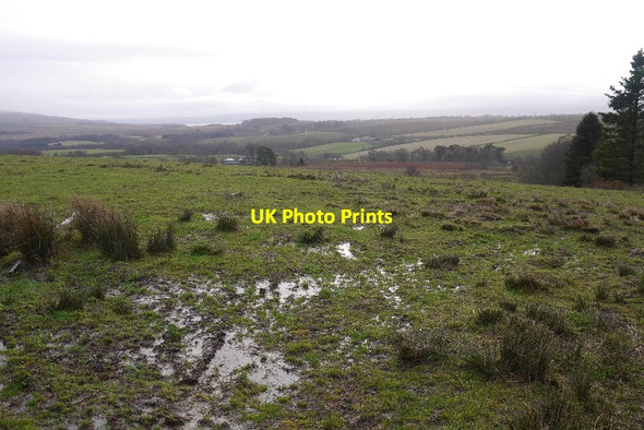 Photo 6"x4" Waterlogged ground, Glen Fruin Fruin Water c2015