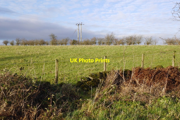 Photo 6"x4" Grassland near Bishopton Bishopton\/NS4371 c2015