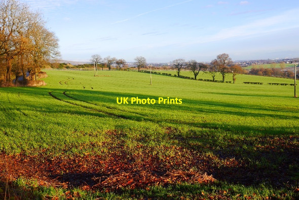 Photo 6"x4" Winter arable crop near Bishopton Bishopton\/NS4371 c2015