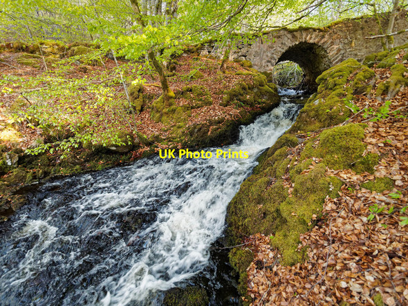 Photo 6"x4" Bridge over the Eskadale Burn Eskadale c2016
