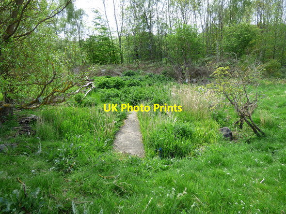 Photo 6"x4" Small marsh at Parklea Parkhill\/NS3573 c2016