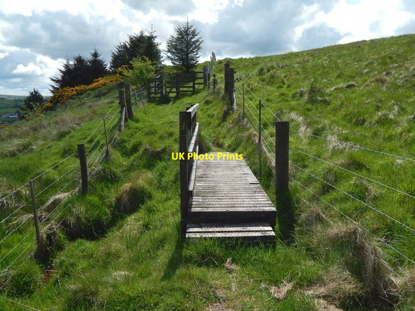 Photo 6"x4" Path to Killoch Glen Barrhead c2016
