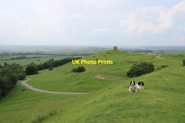Photo 6"x4" Spaniels atop Magpie Hill in the Burton Hills Burton Dassett c2016