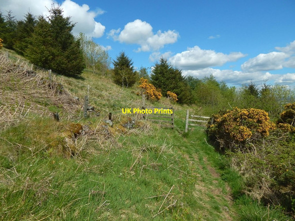 Photo 6"x4" Path leading to foot of steps Gateside\/NS4858 c2016