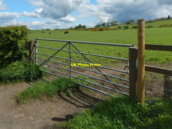 Photo 6"x4" Field gate Barrhead c2016