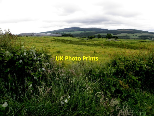 Photo 6"x4" Byturn Townland Drumquin c2016