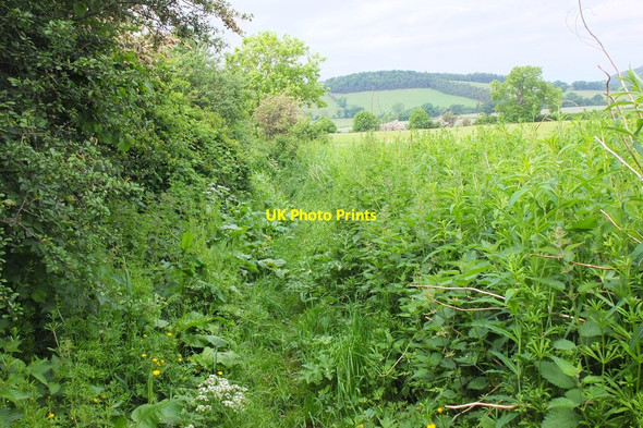 Photo 6"x4" Footpath through the greenery above Newstead Melrose\/NT5434 c2016