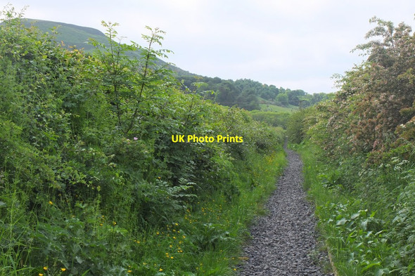 Photo 6"x4" Gravel path to the Rhymer's Stone Melrose\/NT5434 c2016
