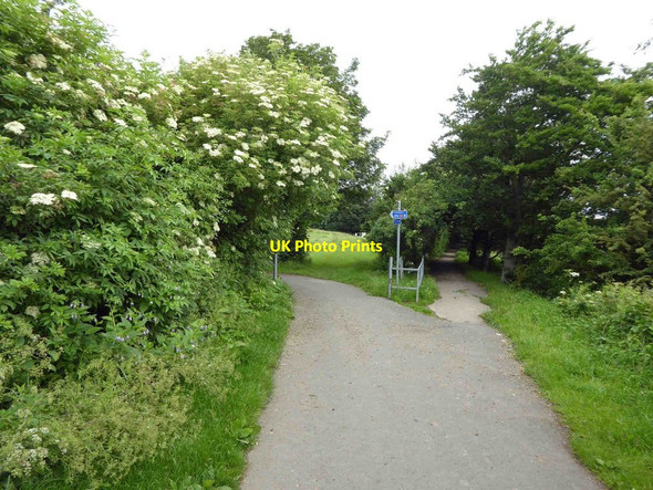 Photo 6"x4" Ossett to Dewsbury greenway (NCN 699) Ossett c2016