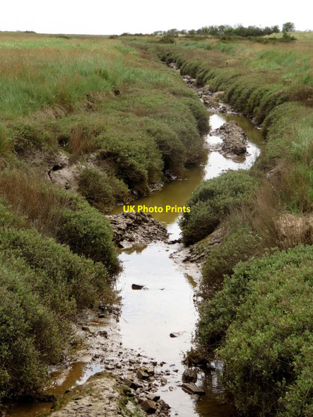 Photo 6"x4" Saltmarsh ditch at Gibraltar Point Seacroft\/TF5660 c2016