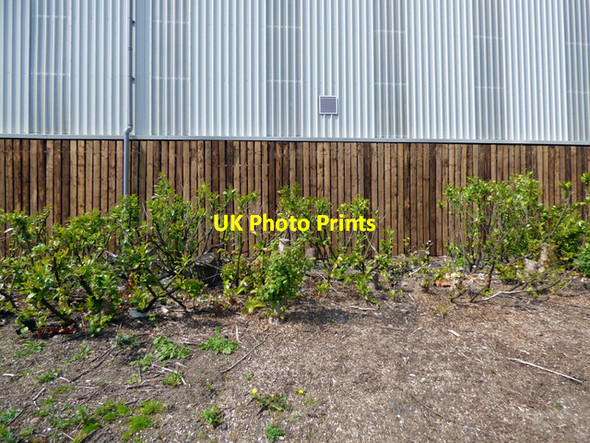 Photo 6"x4" Screened wall at Ferguson's shipyard Port Glasgow c2016