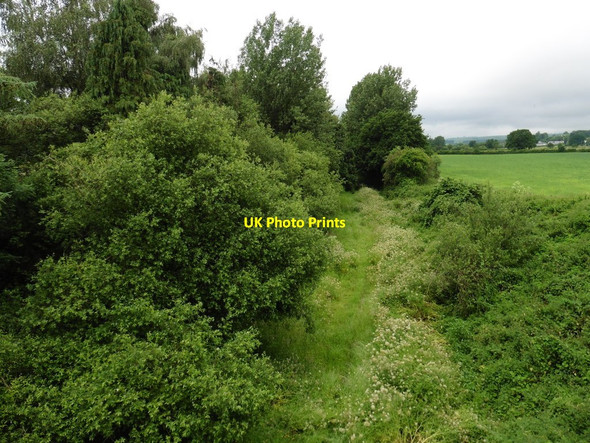 Photo 6"x4" Trackbed of former Tiverton branch Brithem Bottom c2016