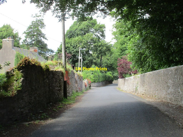 Photo 6"x4" Castlemore, Castlelyons Castlelyons c2016