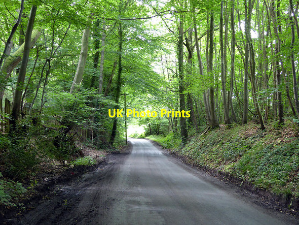 Photo 6"x4" Marden Road Flishinghurst c2016
