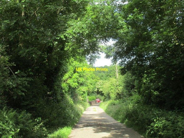 Photo 6"x4" Lane leading to St. Lawrence's Holy Well Clonmult c2016