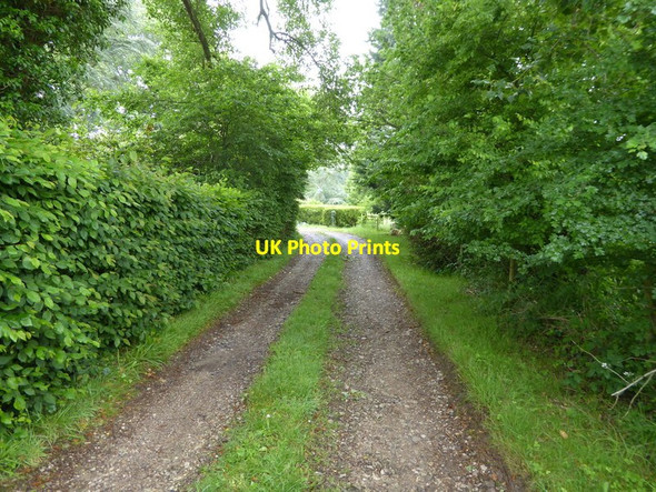 Photo 6"x4" The drive going westwards from Wellhouse Farm Burgess Hill c2016