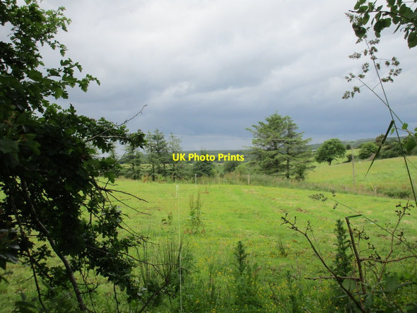 Photo 6"x4" Field at Walshtown More Clonmult c2016