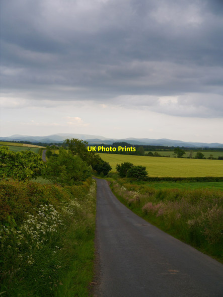 Photo 6"x4" Weather Warning? Whitsomehill c2016