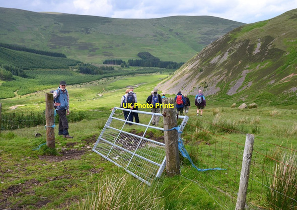 Photo 6"x4" Descent to the Manor Valley Langhaugh\/NT2031 c2016