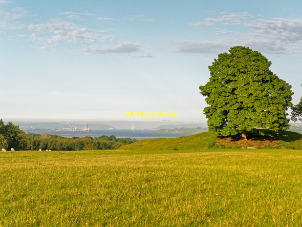 Photo 6"x4" Field overlooking the Cromarty Firth Evanton\/Baile-Eoghain c2016