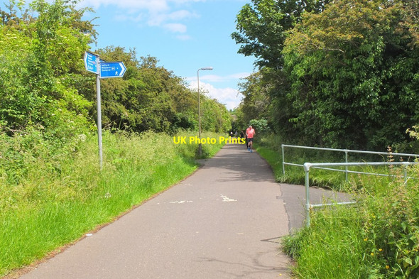 Photo 6"x4" Path junction for the Western General, Telford Drylaw c2016