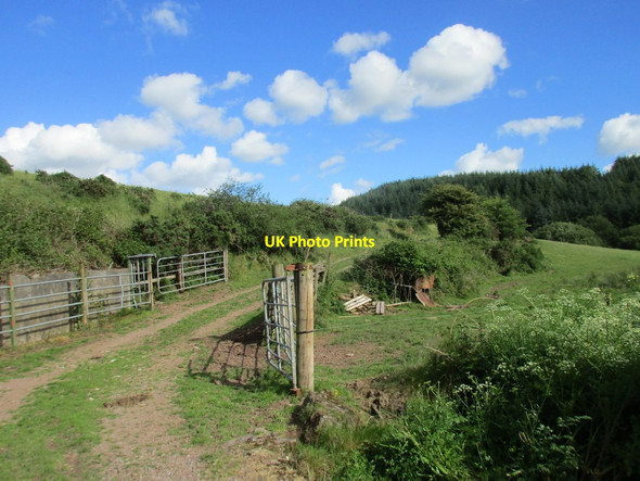 Photo 6"x4" Track off a minor road Lisgoold c2016
