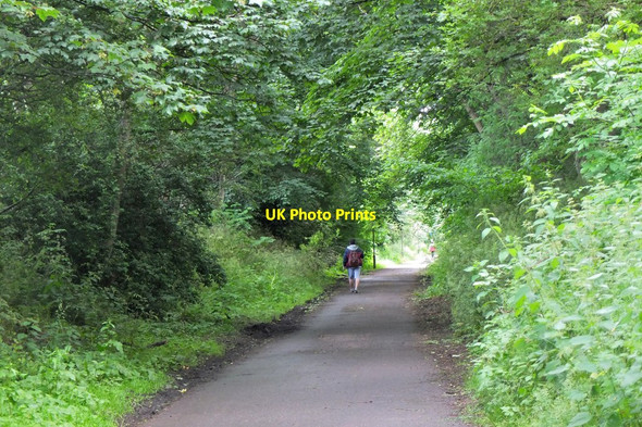 Photo 6"x4" A leafy walk through suburban Edinburgh Granton c2016