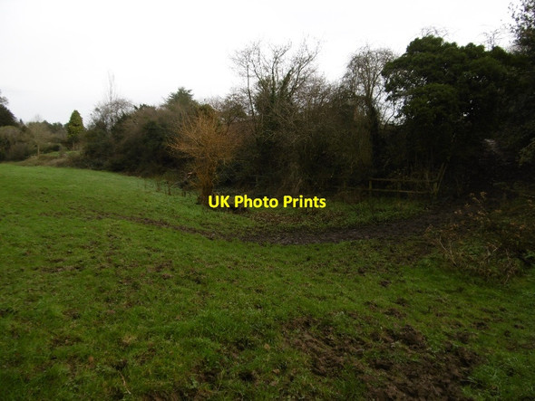 Photo 6"x4" Lade, Ashford Court Ashford Carbonell c2015