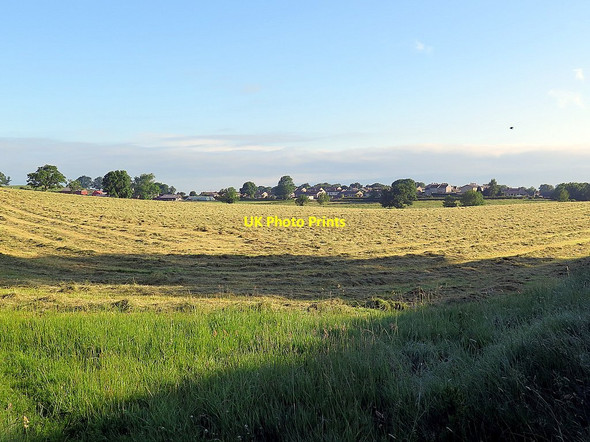 Photo 6"x4" Hay field near Appleby Appleby-in-Westmorland c2016