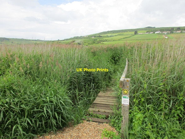 Photo 6"x4" Footbridge and footpath, West Bexington West Bexington c2016