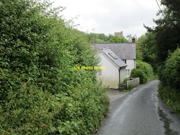Photo 6"x4" Chalk Pit Lane, Litton Cheney Litton Cheney c2016
