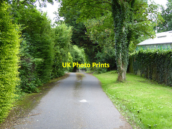 Photo 6"x4" Private road, public footpath, Virginia Water Egham c2016