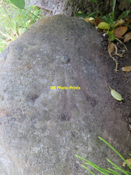 Photo 6"x4" Rivet bench mark on a milestone on Old Aston Hill Connah's Quay c2016