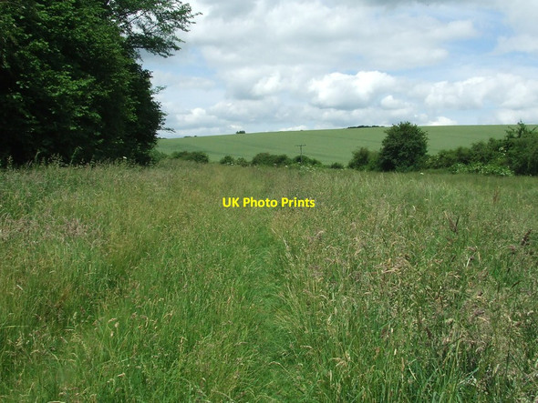 Photo 6"x4" Grassy Footpath Newport\/TL5233 c2016