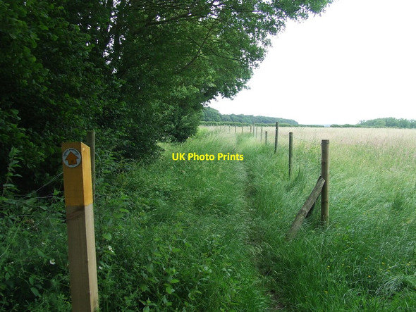 Photo 6"x4" Harcamlow Way Newport\/TL5233 c2016